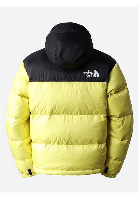 Giubbotto Retro Nuptse The North Face THE NORTH FACE | Giubbotti | NF0A3C8D71U1